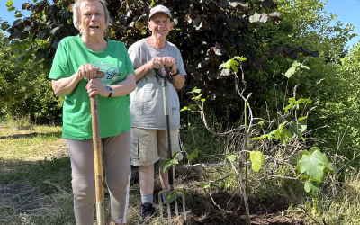 28.06.2025 Ein süßer Start: Unsere neue Feige am Naschweg
