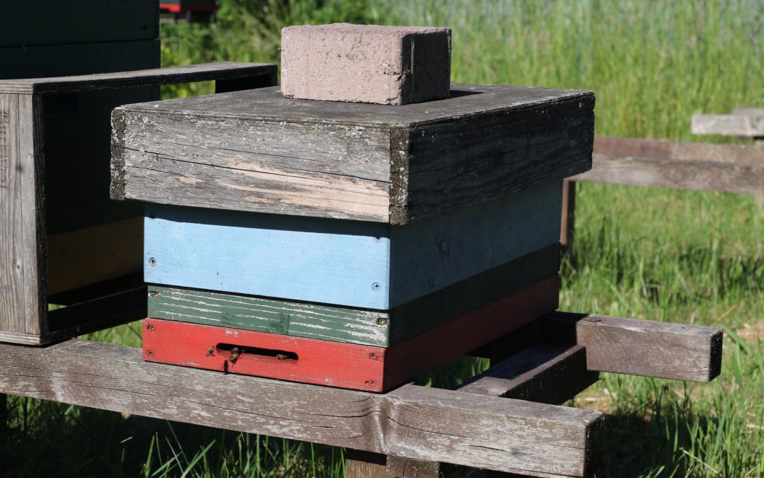 02.06.19 Wallerfangen Eindrücke